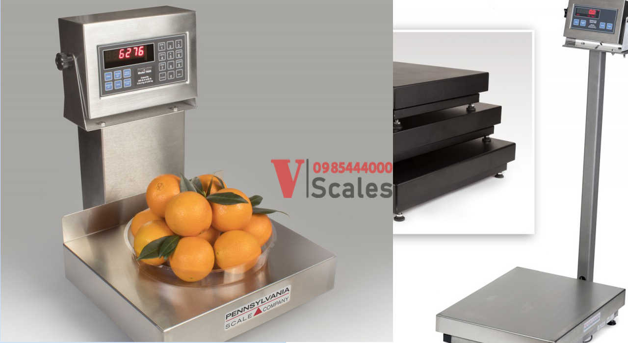 can-dien-tu-pennsylvania-uas-my