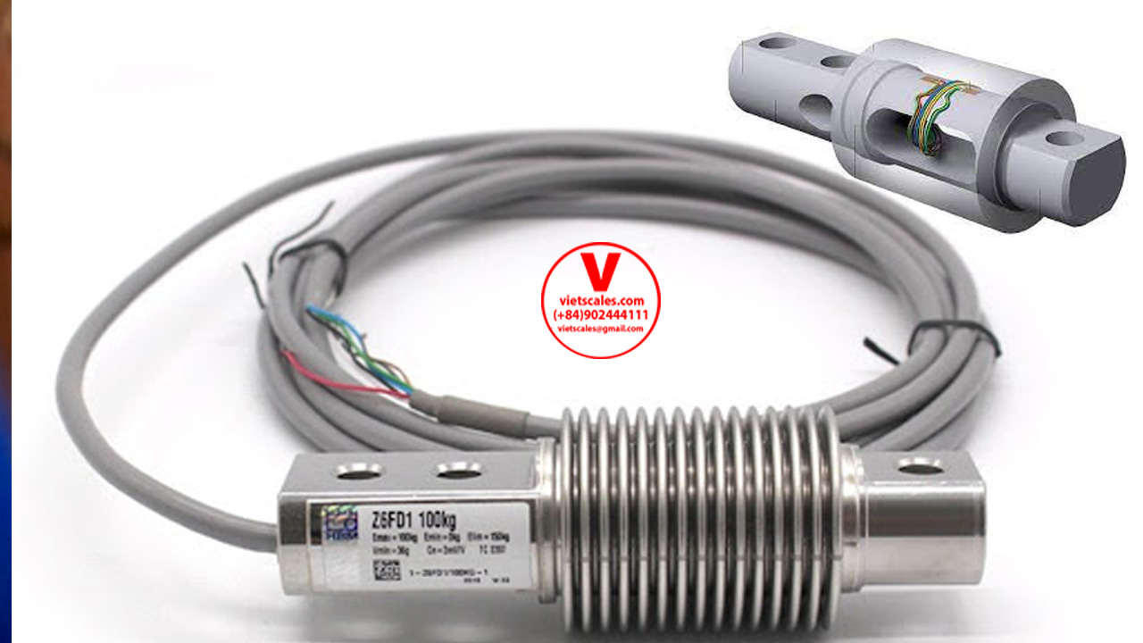 Loadcell-xoan